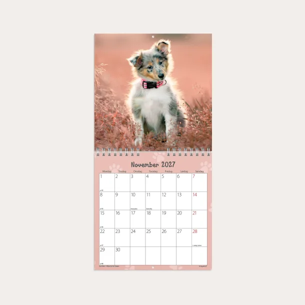 Mayland | V�gkalender mini | hundehvalpe | 2027 |