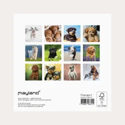 Mayland | V�gkalender mini | hundehvalpe | 2027 |