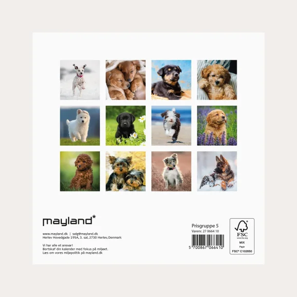 Mayland | V�gkalender mini | hundehvalpe | 2027 |
