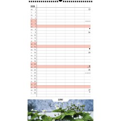 Familiekalender - �ret Rundt | 2026 |