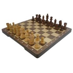 Skak "Stort" i tr��ske