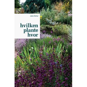 Hvilken plante hvor af Jane Schul