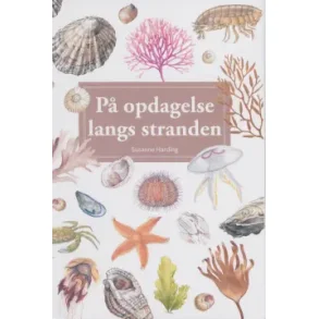 P� opdagelse langs stranden  af Susanne Harding