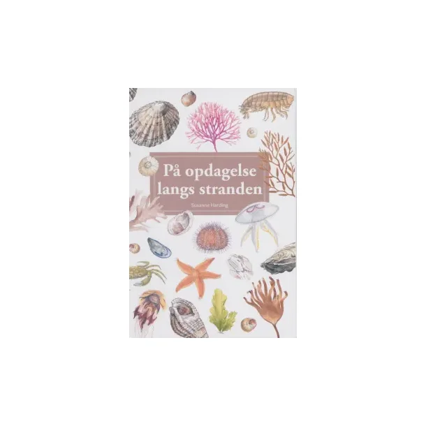 P� opdagelse langs stranden  af Susanne Harding