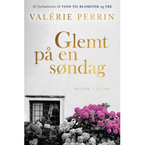 Glemt p en sndag af Valérie Perrin