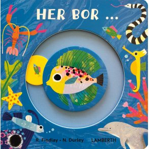 Her bor ... af Rhiannon Findlay
