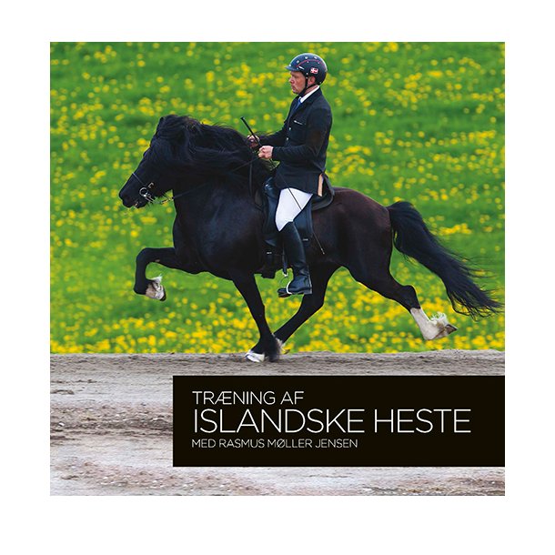 Tr�ning af islandske heste med Rasmus M�ller Jensen af Emma Alnor