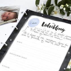 P&S Barnets Bog, Kanin