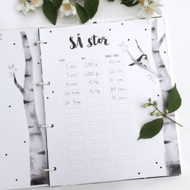 P&S Barnets Bog, Kanin