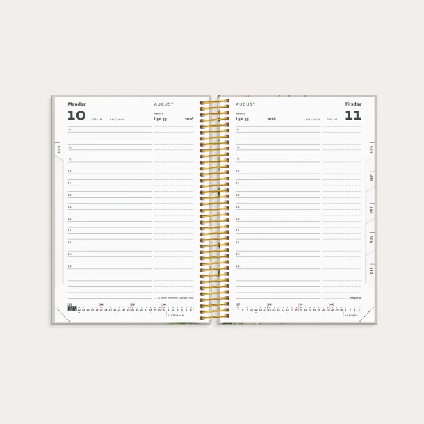 Studie Stor Story | dagkalender | 2026/2027 |