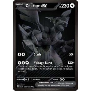 Zekrom ex | BLK 172 |