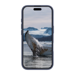 Greenland - iPhone 16 Pro - Pacific Blue