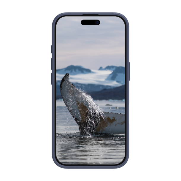 Greenland - iPhone 16 Pro - Pacific Blue