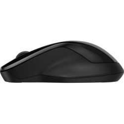 HP 250 Dual Wireless Mouse (Consumer)