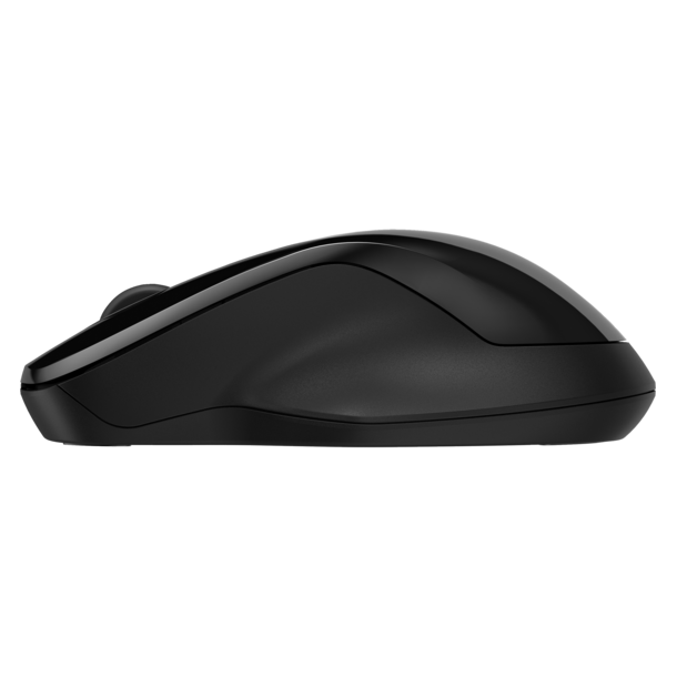 HP 250 Dual Wireless Mouse (Consumer)