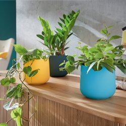 Urtepotte Cosy keramisk bl