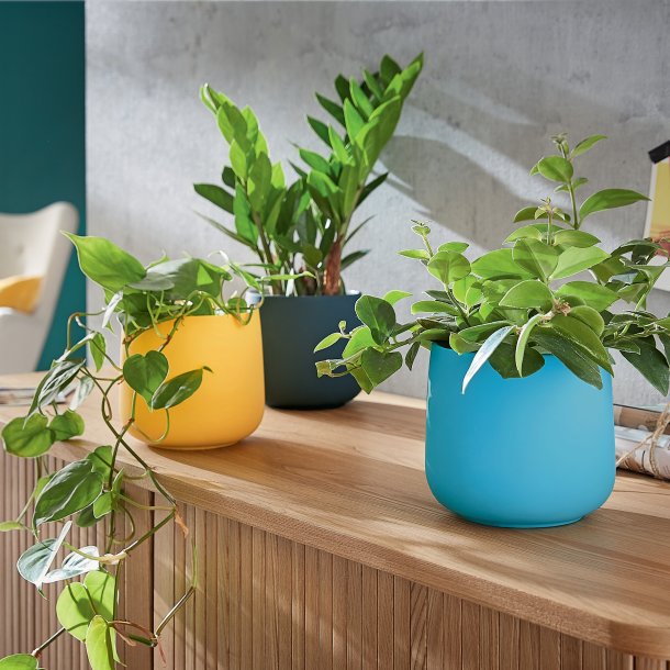 Urtepotte Cosy keramisk bl