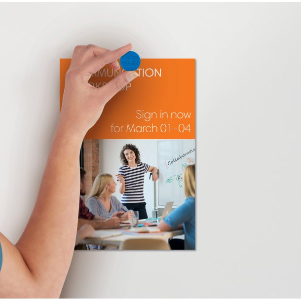 Magneter 24mm ass (10)