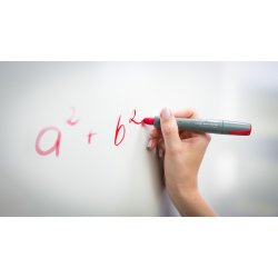 WB Teacher Kit Visor st