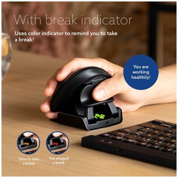 R-Go Twister Ambidextrous Mouse, Ergonomisk mus