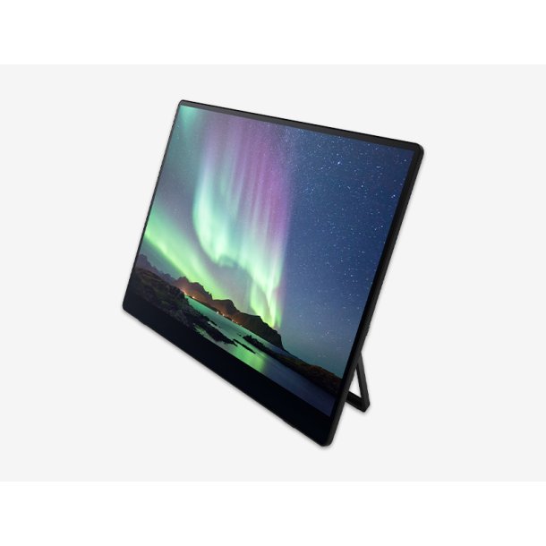 RICOH Portable Monitor 150 OLED 15,6'' (Wired)