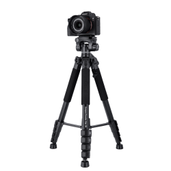 ROLLEI Compact Traveler StarS4