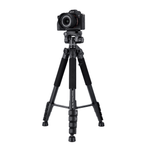 ROLLEI Compact Traveler StarS4