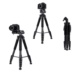 ROLLEI Compact Traveler StarS4