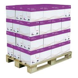 Xerox Performer Multifunction paper 80g A4 (500)