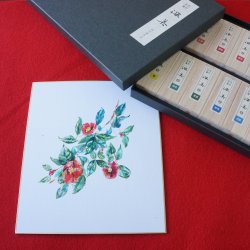 Saiboku Shimbi 14 Ink stick set