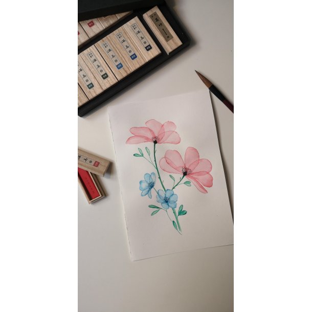 Saiboku Shimbi 14 Ink stick set