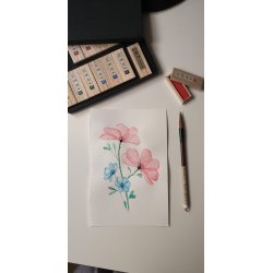 Saiboku Shimbi 14 Ink stick set