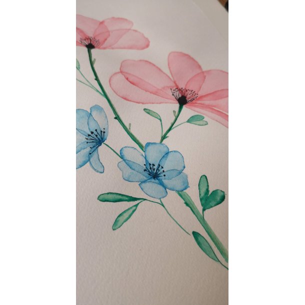 Saiboku Shimbi 14 Ink stick set