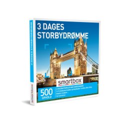 3 Dages storbydrmme 