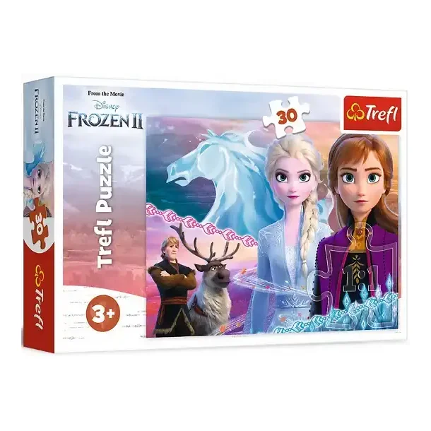 Puzzle | Frozen, the courage of sisters | 30 Brikker |