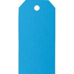 Manilla Marker 10pk Azurbl