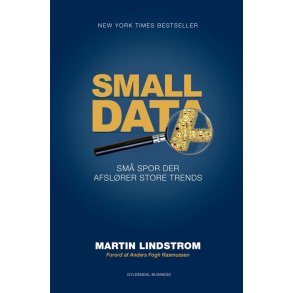 Small data af Martin Lindstrom
