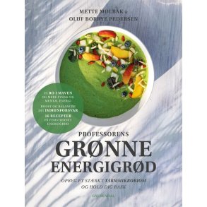Professorens grnne energigrd af Mette Mlbak og Oluf Borbye Pedersen