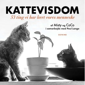 Kattevisdom af Misty og CoCo