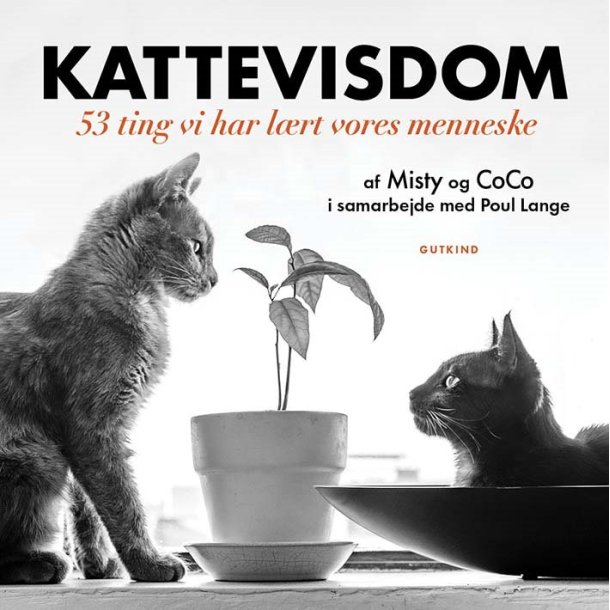 Kattevisdom af Misty og CoCo