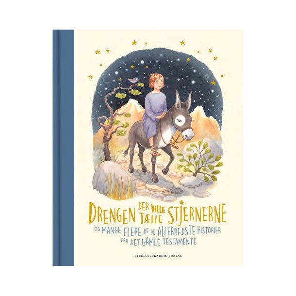 Drengen der ville tlle stjernerne af Louise Langhoff Koch