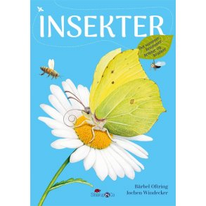 Insekter af Bärbel Oftring