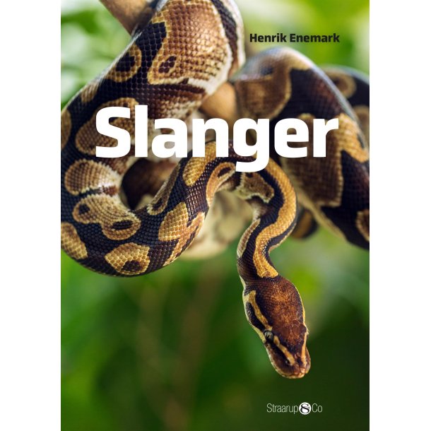 Spil og l�s: Slanger