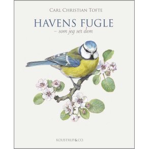 HAVENS FUGLE af Carl Christian Tofte