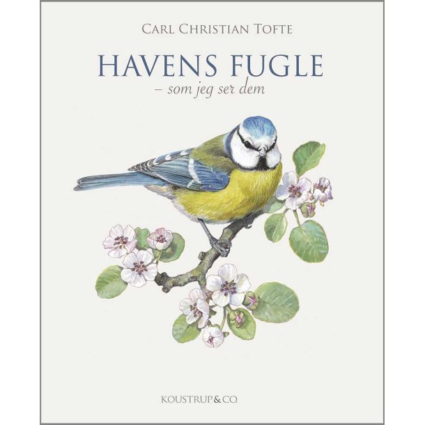 HAVENS FUGLE af Carl Christian Tofte