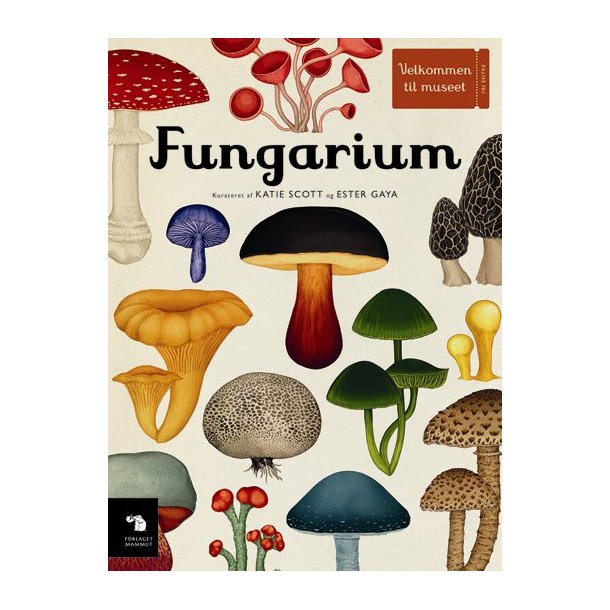 Fungarium af Katie Scott og Ester Gaya