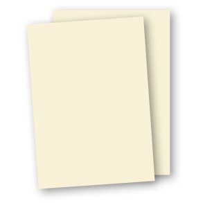 A4 220g Karton Elfenben