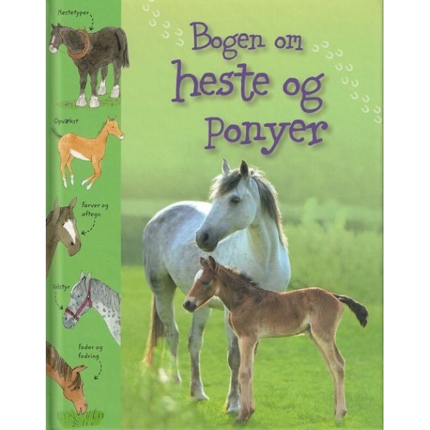 Bogen om heste og ponyer af Sarah Kahn