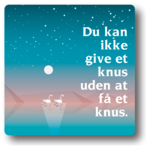 Citatmagnet Du kan ikke