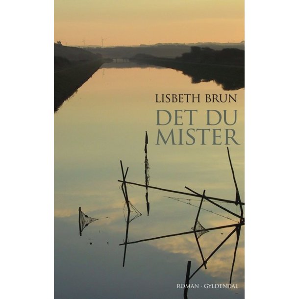 Det du mister af Lisbeth Brun